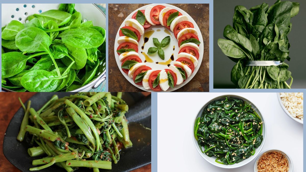Which Country Eats the Most Spinach Salad in the World?