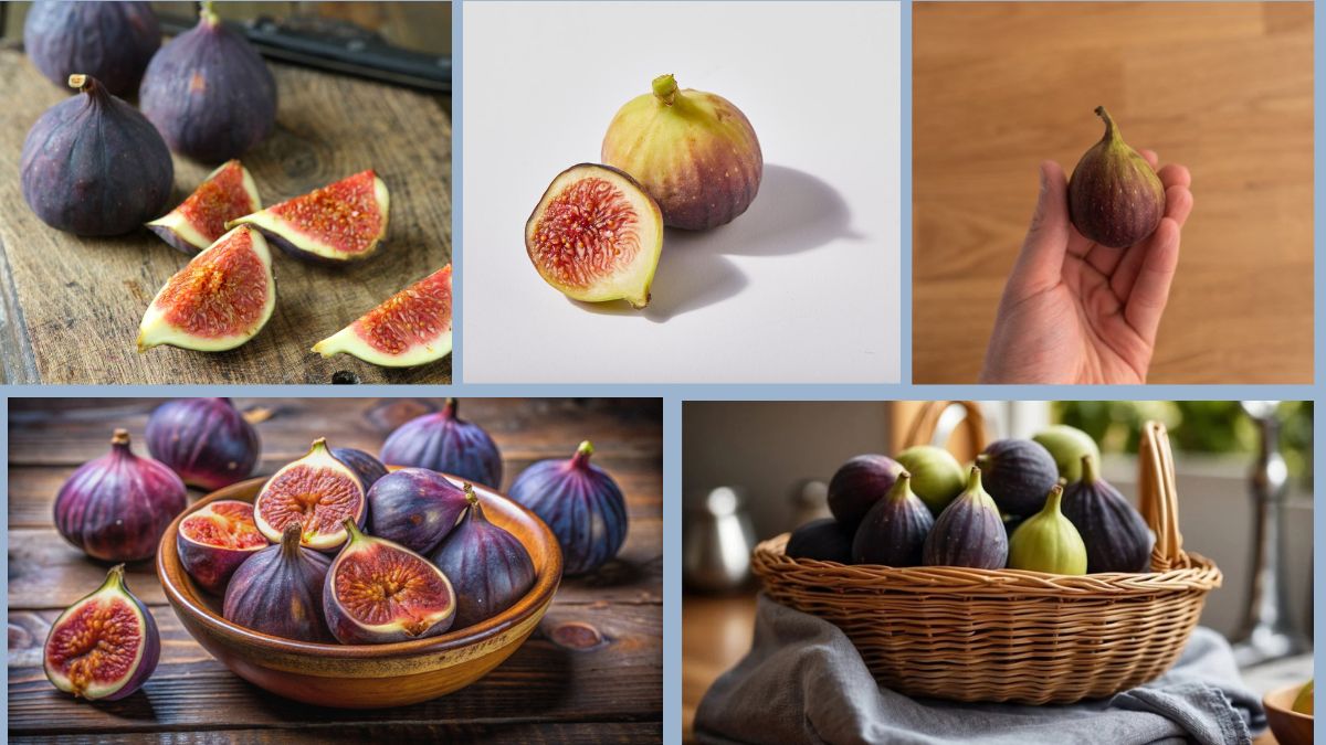 How to Store Figs and Dates for Extended Enjoyment