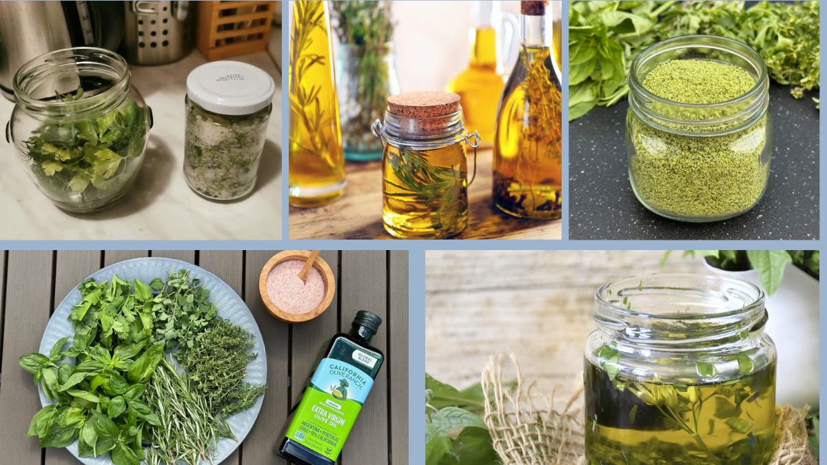 How to Store Herbs in Oil for Extended Life